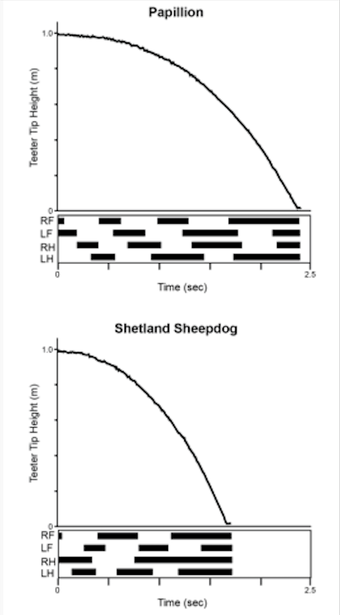 Teeter Graphs.png